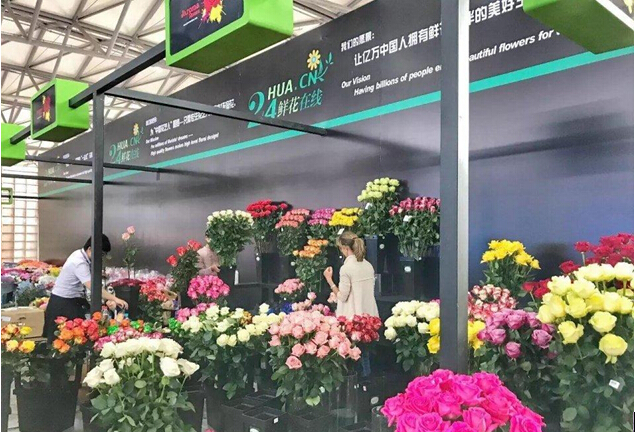 花卉展覽設計 蘇閣展覽專注展覽設計20年